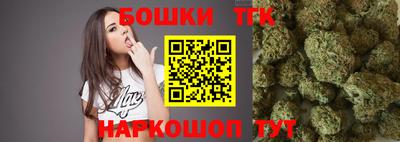 индика Коммунар