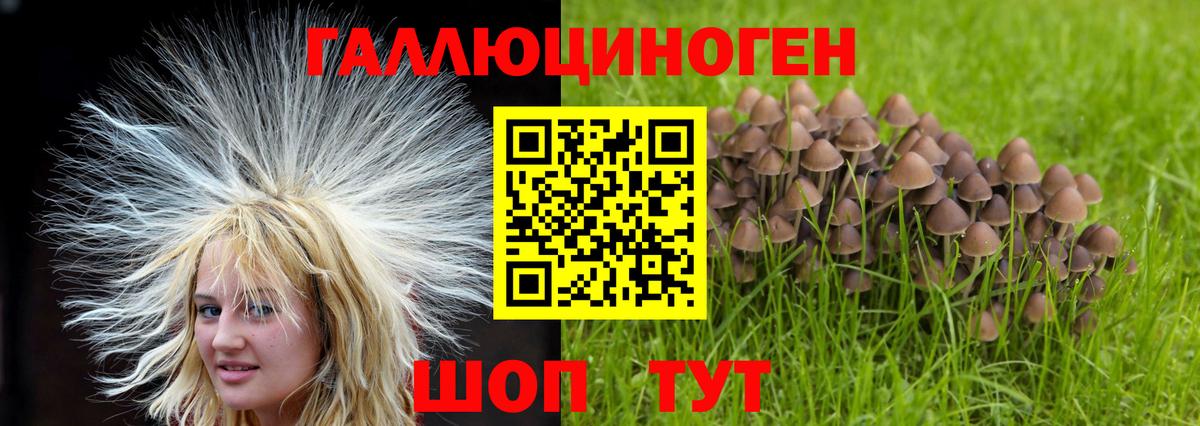 Галлюциногенные грибы мухоморы Керчь